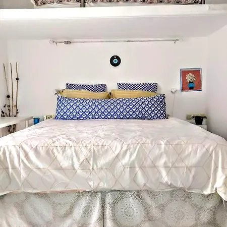 Zamboli *